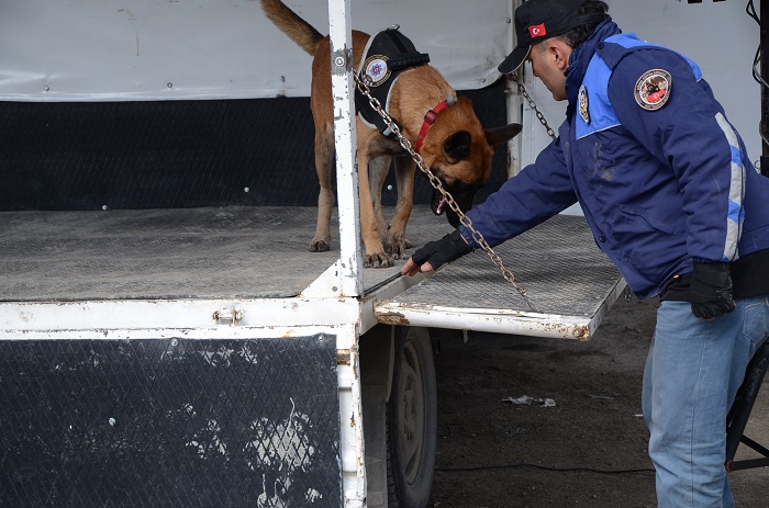 Hakkari'de Newroz coşkusu 1