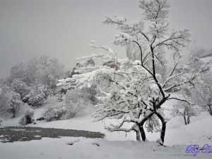 Hacı Tansu Objektifinden Kış Manzaraları