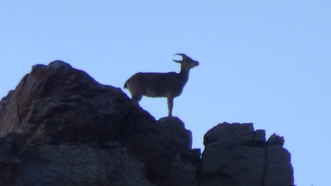 Hakkarili Dağcılardan Sümbül’ün zirvesinde görsel şov! 9