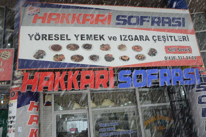 Hakkari Yeni Yıl Mesajları 17