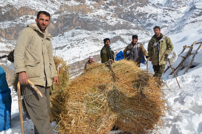 Burası Hakkari! Karlı dağlarda kızaklarla ot taşıyorlar 10
