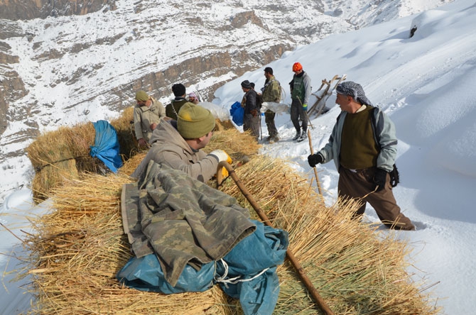 Burası Hakkari! Karlı dağlarda kızaklarla ot taşıyorlar 12