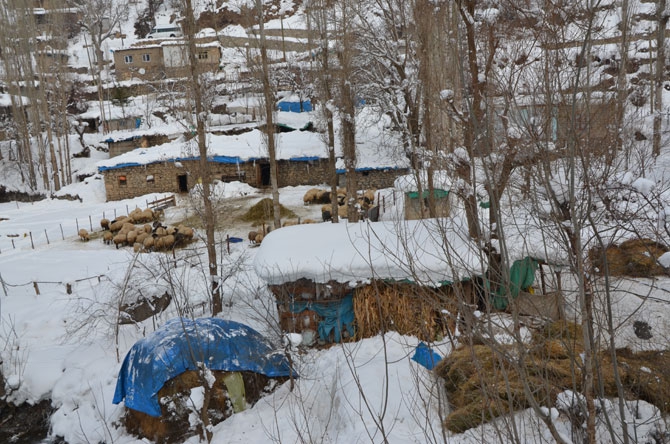 Burası Hakkari! Karlı dağlarda kızaklarla ot taşıyorlar 14