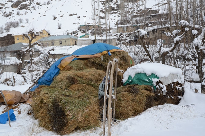 Burası Hakkari! Karlı dağlarda kızaklarla ot taşıyorlar 16