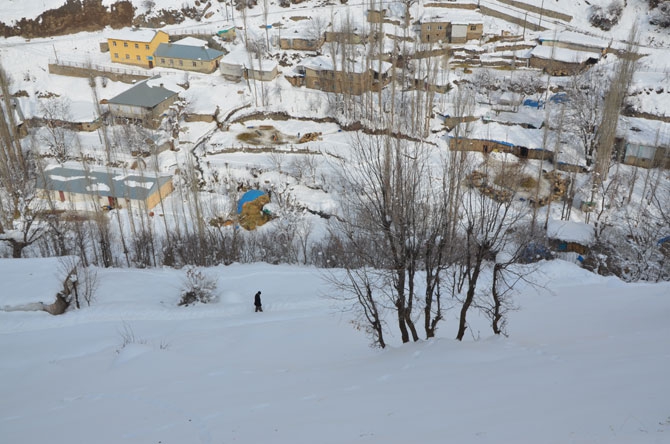 Burası Hakkari! Karlı dağlarda kızaklarla ot taşıyorlar 17