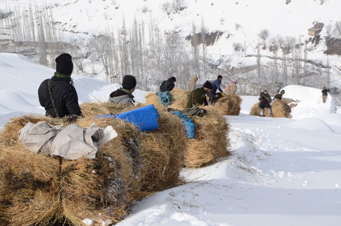 Burası Hakkari! Karlı dağlarda kızaklarla ot taşıyorlar 2