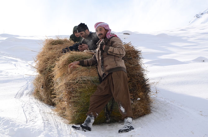 Burası Hakkari! Karlı dağlarda kızaklarla ot taşıyorlar 22