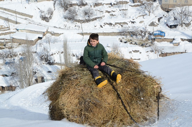Burası Hakkari! Karlı dağlarda kızaklarla ot taşıyorlar 23