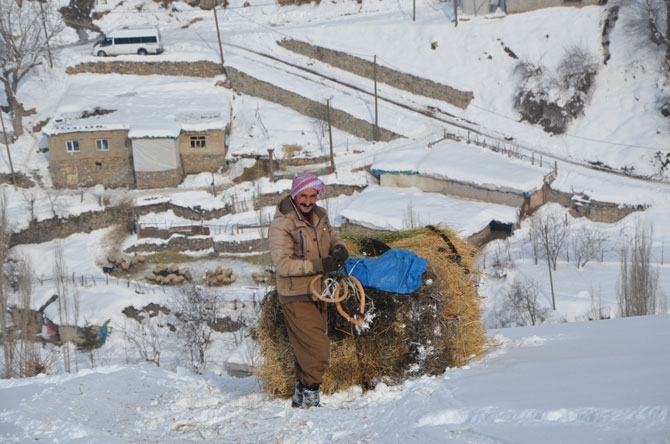 Burası Hakkari! Karlı dağlarda kızaklarla ot taşıyorlar 24