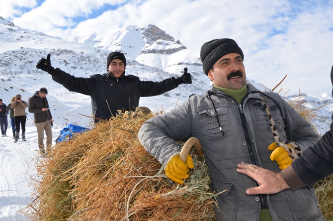 Burası Hakkari! Karlı dağlarda kızaklarla ot taşıyorlar 26