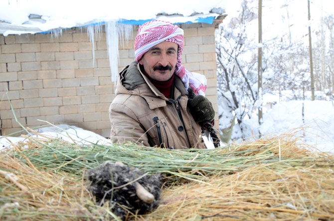 Burası Hakkari! Karlı dağlarda kızaklarla ot taşıyorlar 28