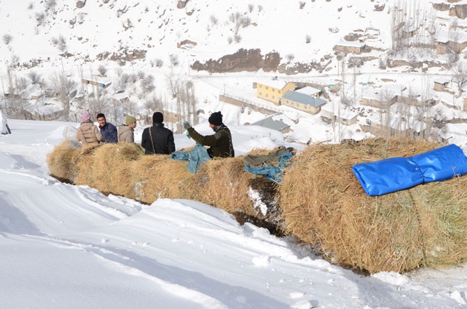 Burası Hakkari! Karlı dağlarda kızaklarla ot taşıyorlar 6