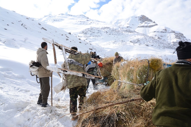 Burası Hakkari! Karlı dağlarda kızaklarla ot taşıyorlar 8