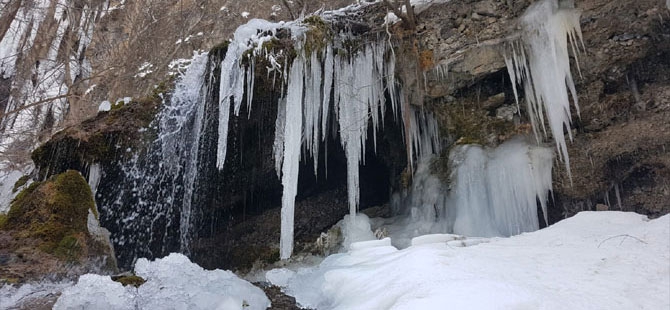 Hakkari'deki Ağaçdibi Şelalesi buz tuttu! 1