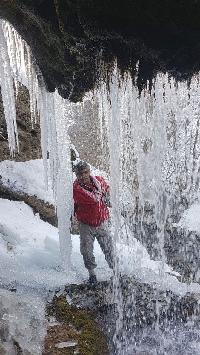 Hakkari'deki Ağaçdibi Şelalesi buz tuttu! 11