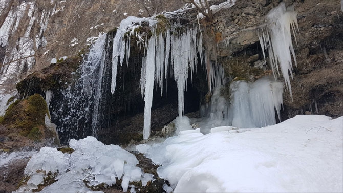 Hakkari'deki Ağaçdibi Şelalesi buz tuttu! 12