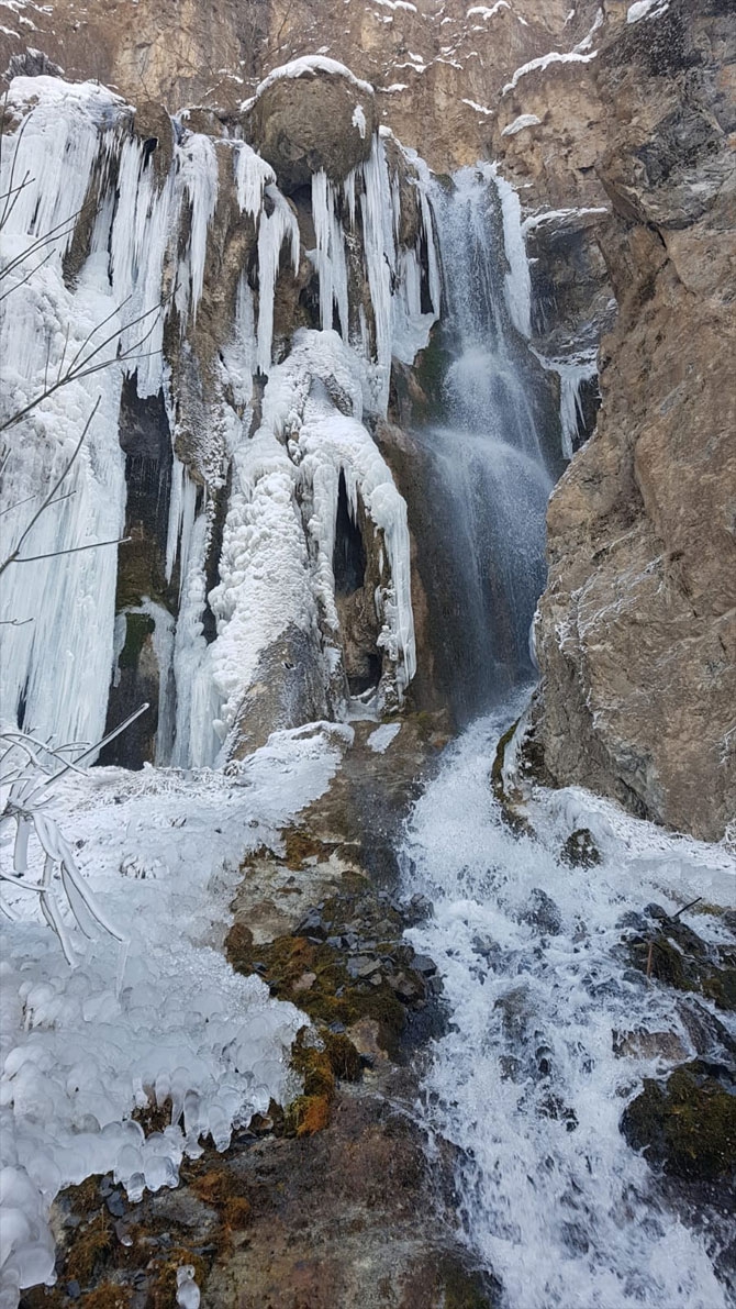Hakkari'deki Ağaçdibi Şelalesi buz tuttu! 9