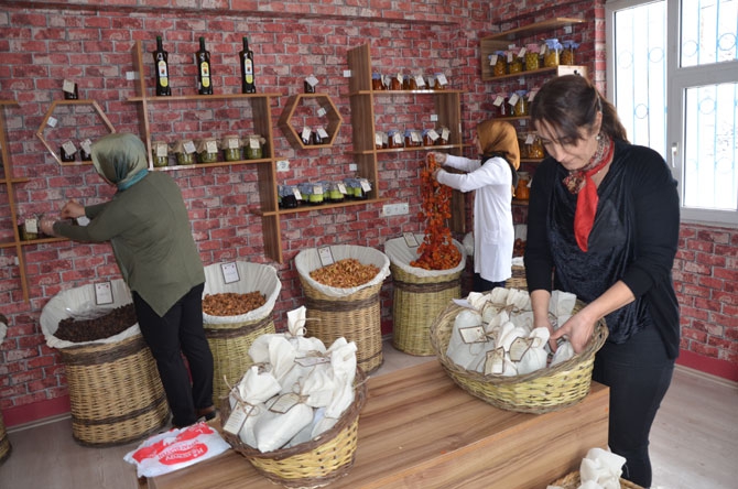 Hakkâri’de bir ilk: Organik Tarım Evi açılıyor! 12