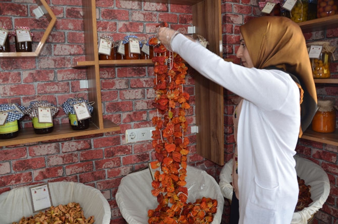 Hakkâri’de bir ilk: Organik Tarım Evi açılıyor! 13