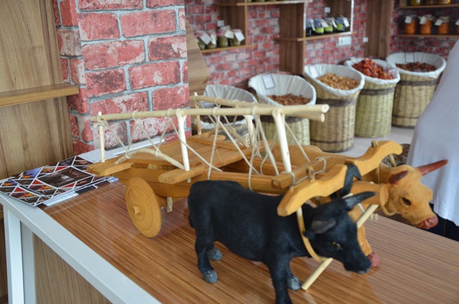 Hakkâri’de bir ilk: Organik Tarım Evi açılıyor! 17