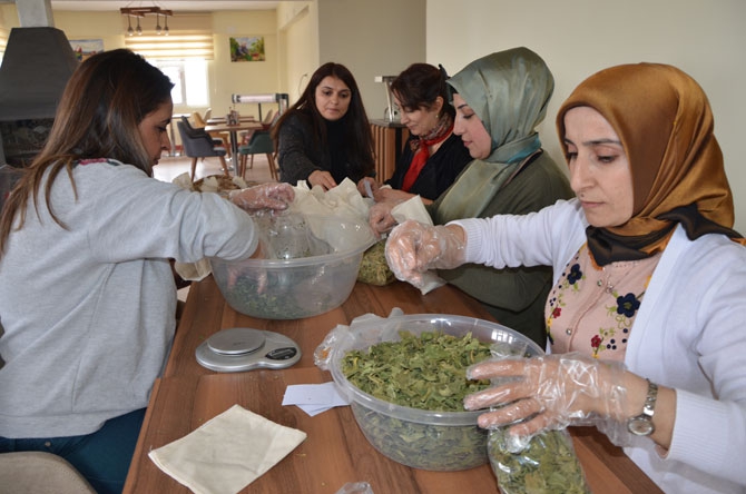 Hakkâri’de bir ilk: Organik Tarım Evi açılıyor! 6