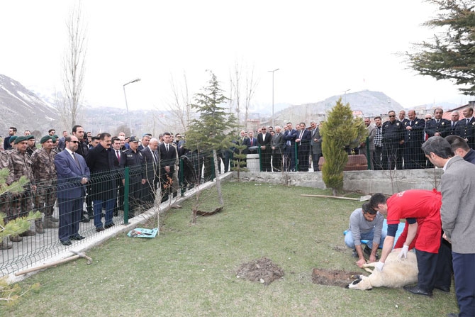 Hakkari'de Polis Haftası etkinlikleri! 7