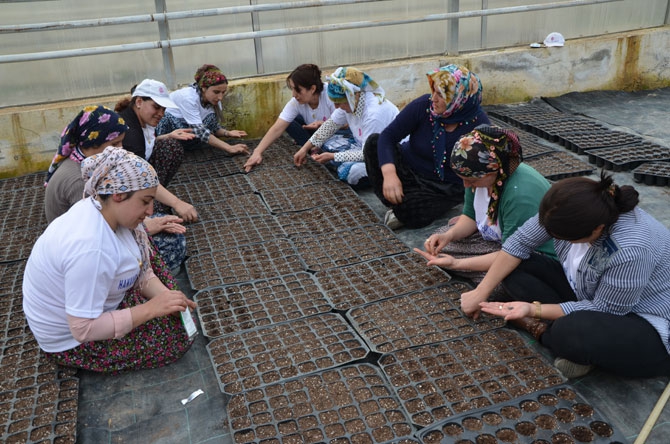 Hakkarili kadın çiftçiler toprağa hayat veriyor 1