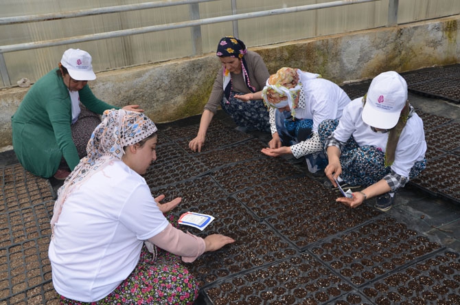 Hakkarili kadın çiftçiler toprağa hayat veriyor 10