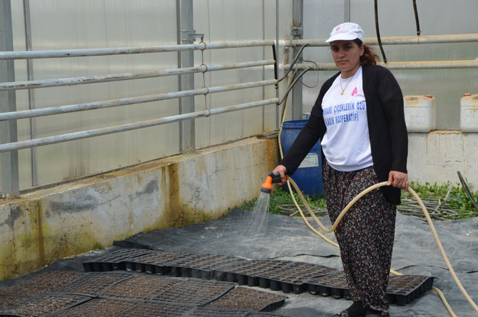Hakkarili kadın çiftçiler toprağa hayat veriyor 11