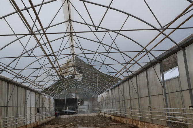 Hakkarili kadın çiftçiler toprağa hayat veriyor 12