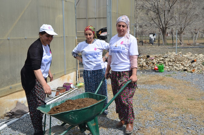 Hakkarili kadın çiftçiler toprağa hayat veriyor 14