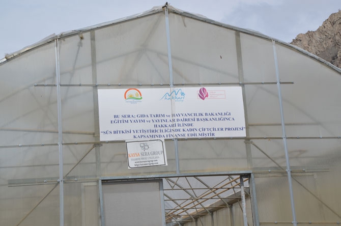 Hakkarili kadın çiftçiler toprağa hayat veriyor 15