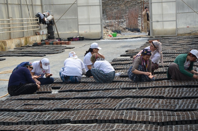 Hakkarili kadın çiftçiler toprağa hayat veriyor 2
