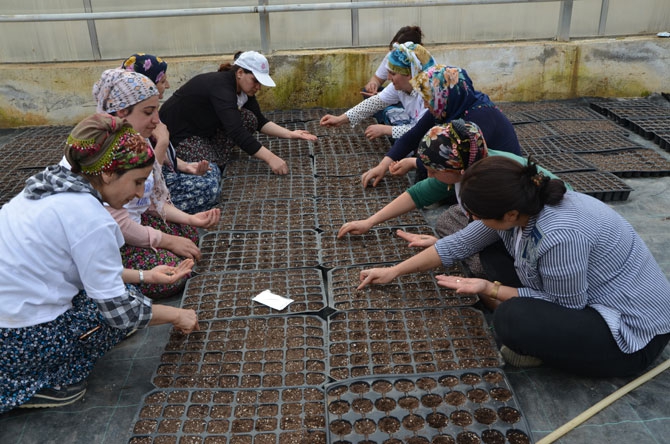 Hakkarili kadın çiftçiler toprağa hayat veriyor 3