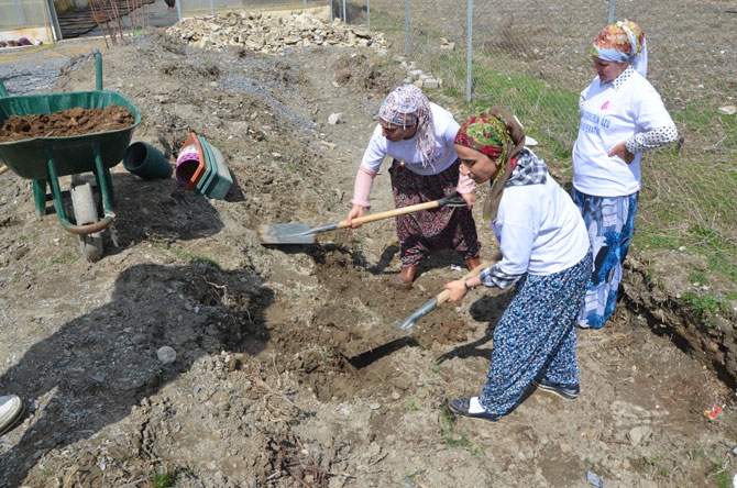 Hakkarili kadın çiftçiler toprağa hayat veriyor 4