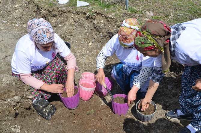 Hakkarili kadın çiftçiler toprağa hayat veriyor 5