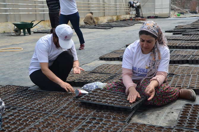 Hakkarili kadın çiftçiler toprağa hayat veriyor 6