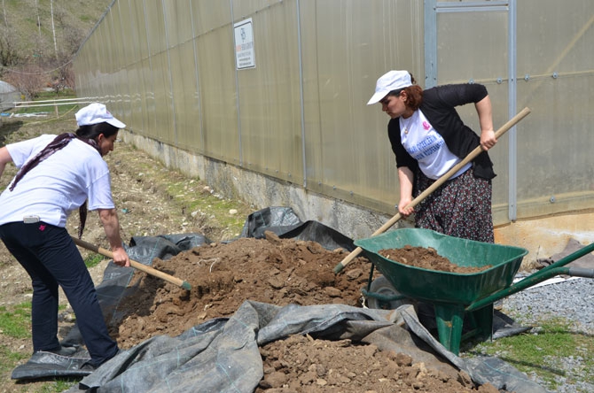 Hakkarili kadın çiftçiler toprağa hayat veriyor 7