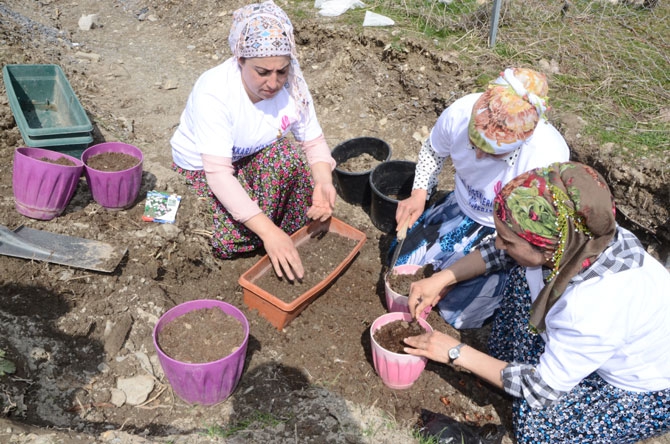 Hakkarili kadın çiftçiler toprağa hayat veriyor 8