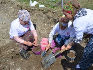 Hakkarili kadın çiftçiler toprağa hayat veriyor