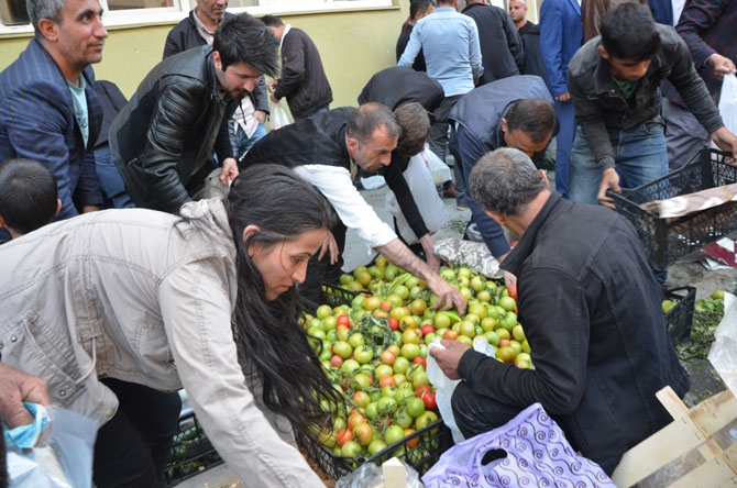 Hakkari’de ucuz sebze izdihamı! 1