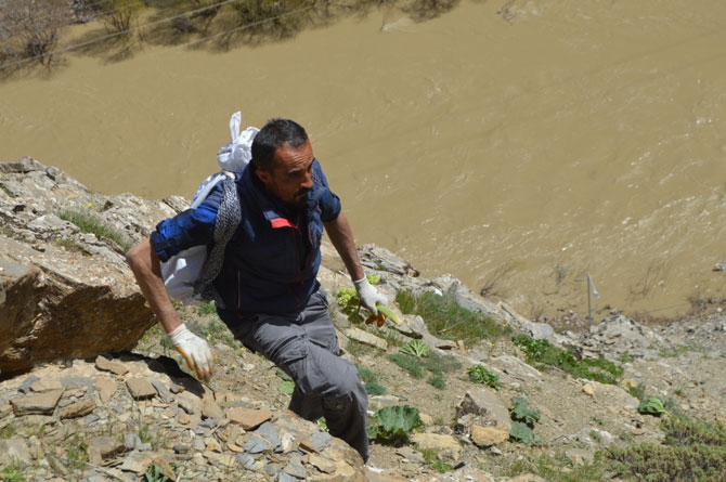 Uçkun Hakkari'de işsizlerin iş kapısı oldu 10