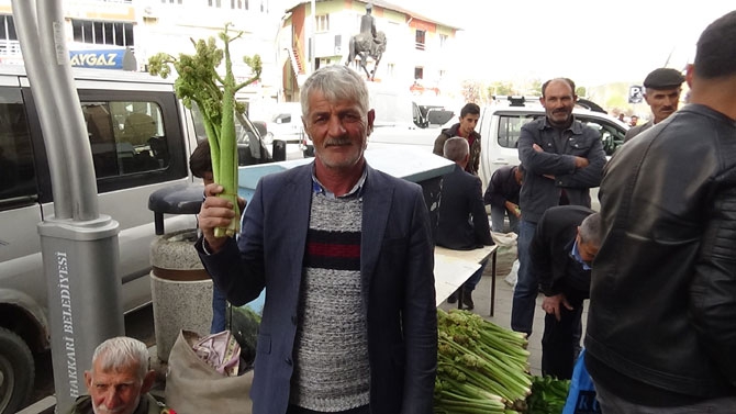 Uçkun Hakkari'de işsizlerin iş kapısı oldu 12