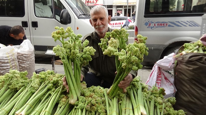 Uçkun Hakkari'de işsizlerin iş kapısı oldu 13