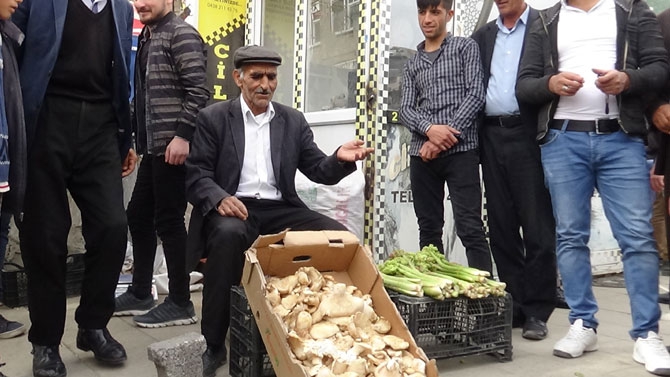 Uçkun Hakkari'de işsizlerin iş kapısı oldu 14