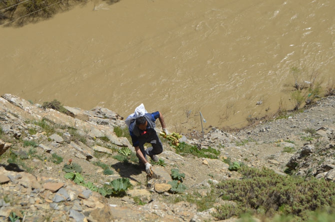 Uçkun Hakkari'de işsizlerin iş kapısı oldu 15