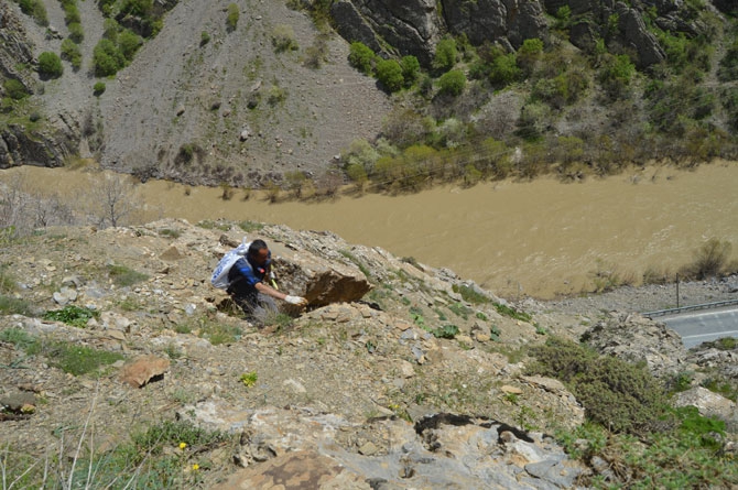 Uçkun Hakkari'de işsizlerin iş kapısı oldu 5