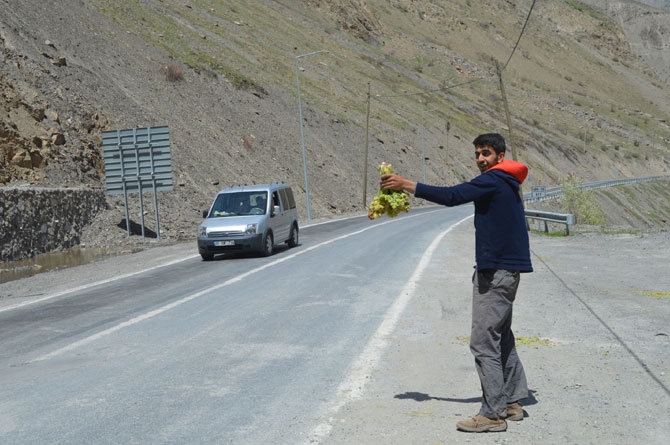 Uçkun Hakkari'de işsizlerin iş kapısı oldu 6