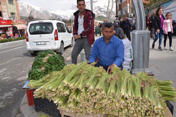 Uçkun Hakkari'de işsizlerin iş kapısı oldu 9