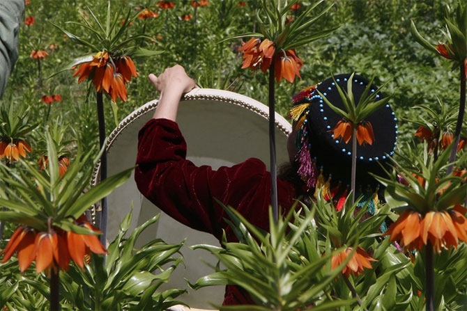 Hakkari'de doğaseverlerin 'Ters Lale' buluşması 11